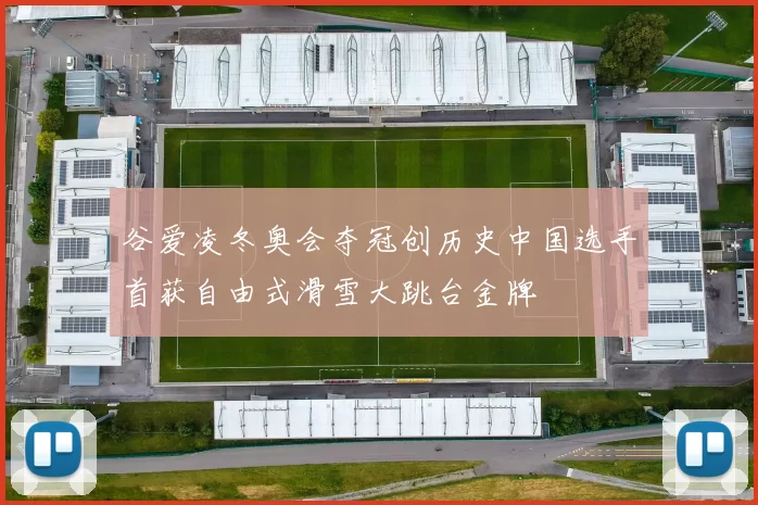 谷爱凌冬奥会夺冠创历史中国选手首获自由式滑雪大跳台金牌