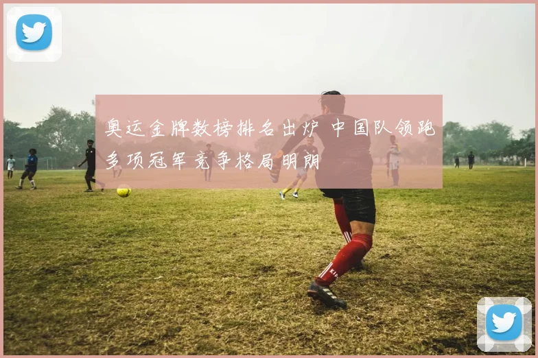 奥运金牌数榜排名出炉 中国队领跑多项冠军竞争格局明朗