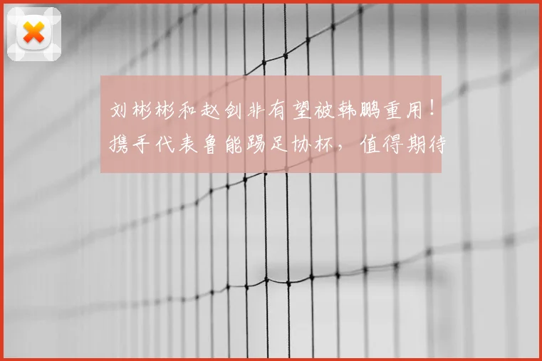 刘彬彬和赵剑非有望被韩鹏重用!携手代表鲁能踢足协杯,值得期待