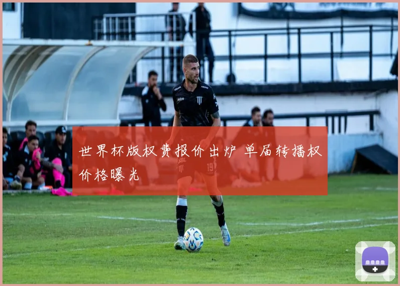 世界杯版权费报价出炉 单届转播权价格曝光