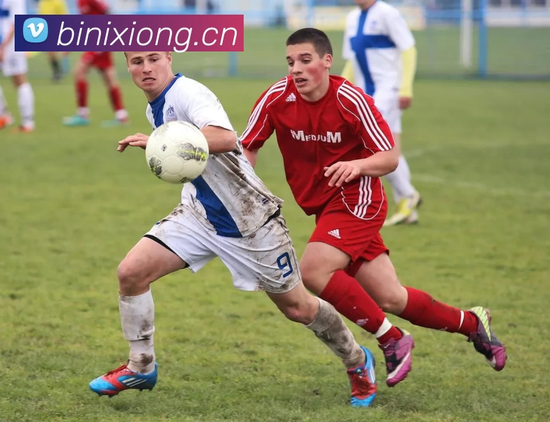 App Interface Preview